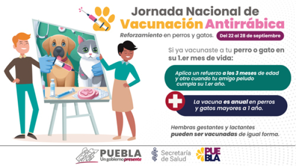 La vacunación antirrábica en perros y gatos se reforzará en estas fechas