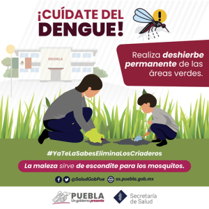 20 personas hospitalizadas por dengue: Salud