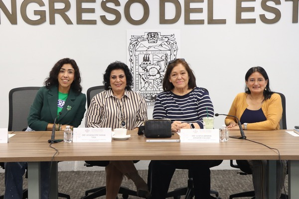 Presentan avances a favor de personas con discapacidad