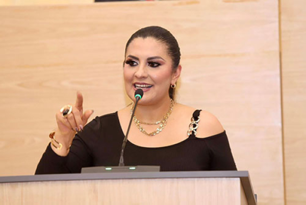 "Informe de Diagn&oacute;stico Institucional" propone la diputada Delfina Pozos