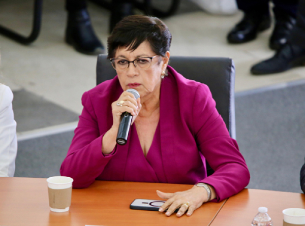 Se concluyó la etapa de licitación para las licencias de conducir