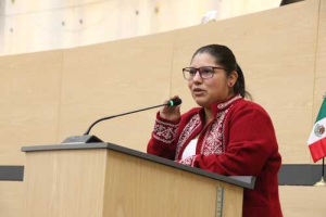 Piden que municipios reduzcan costos de grúas y corralones