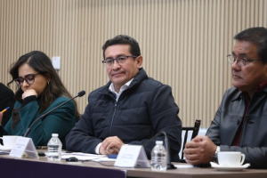 Congreso trabaja para garantizar la seguridad: Pavel Gaspar