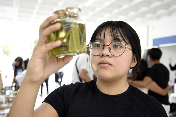 Fibras textiles a partir de residuos de agave: BUAP