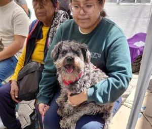 Acerca Puebla capital servicios de bienestar animal a colonias
