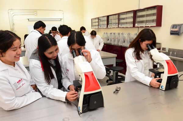 USEP, referente profesional en salud