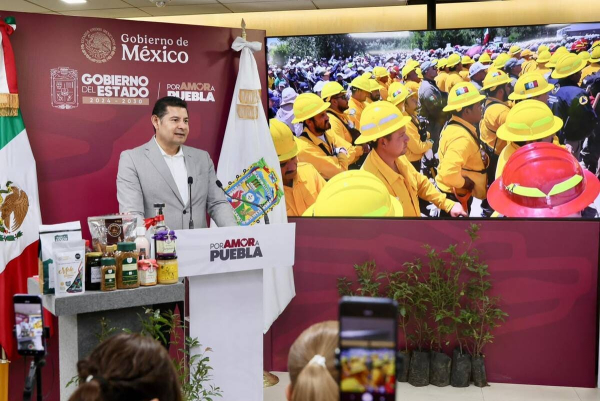 Izta-Popo, clave en estrategia nacional de reforestación
