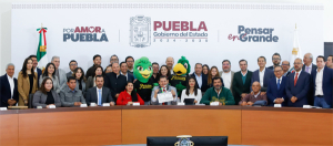 ¿De qué se trata la “Liga Metropolitana de Béisbol AA”?