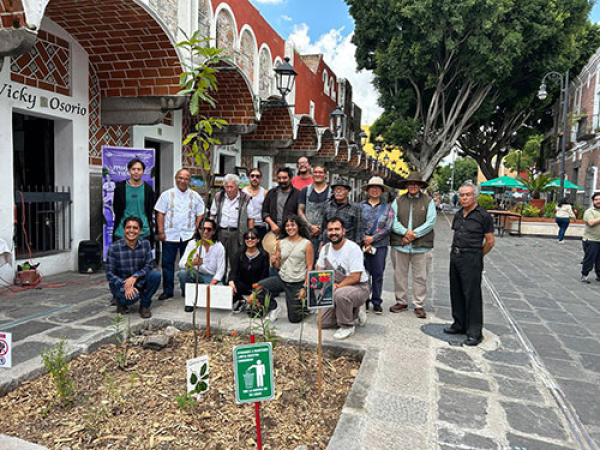 La conservación del arbolado urbano es promovida por el Gobierno Municipal
