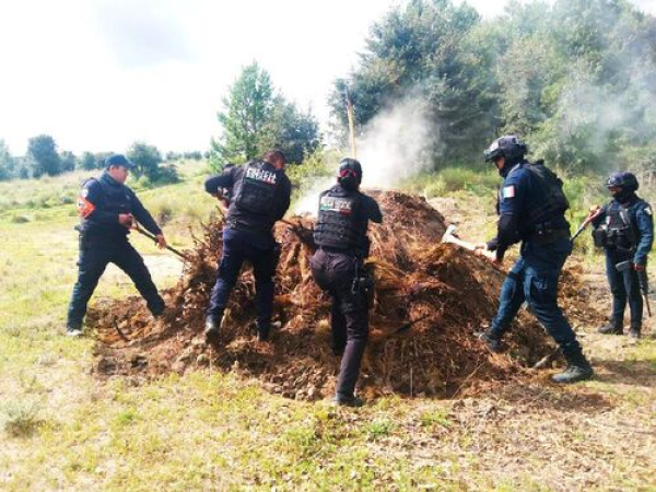 Inhabilita Policía Forestal 11 hornos clandestinos de madera