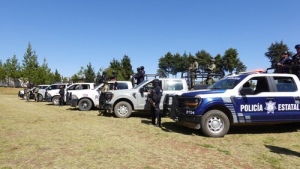 Con acciones interinstitucionales, fueron detenidas 106 personas: SSP