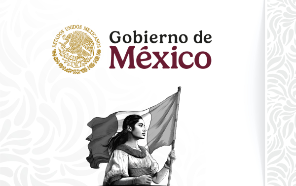 Anuncian decreto para el Servicio Universal de Salud