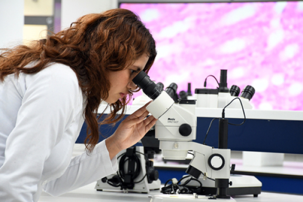 CU2: es innovación científica y alta especialidad