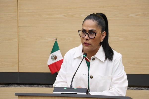 Proponen armonizar leyes estatales con estándares nacionales