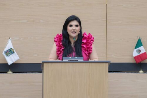 Plantean iniciativa para proteger denuncias por desaparici&oacute;n