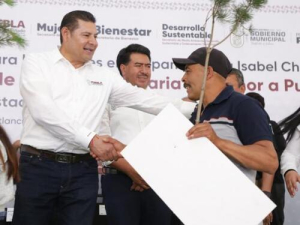 Con reforestación se construye paz ambiental: Armenta