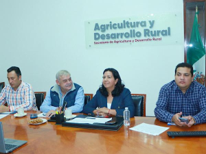 Puebla combate el Gusano Barrenador