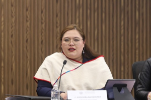 Arte y Cultura comparece en el Congreso