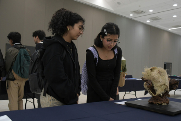 Bio Arte BUAP: Creatividad, biodiversidad y arte