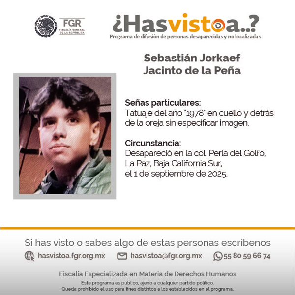 Servicio Social | Programa ¿Has visto a? FGR