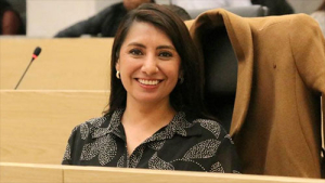 Los cobros abusivos en venta digital podr&iacute;an frenarse