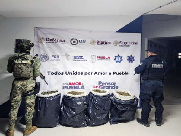 En Teotlalco y Texmelucan, SSP  asegura marihuana y cristal