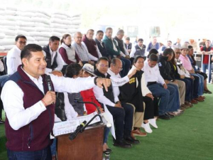 Plan de Reforestación avanza en Ahuazotepec: Armenta