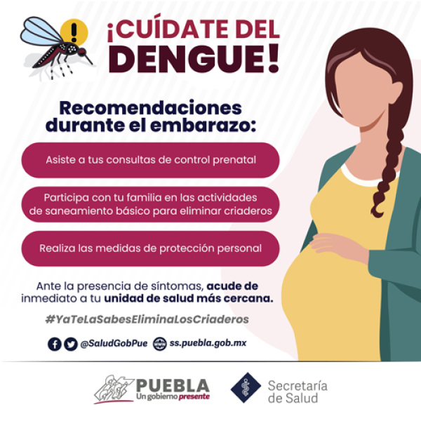 Se reportan dos casos de dengue