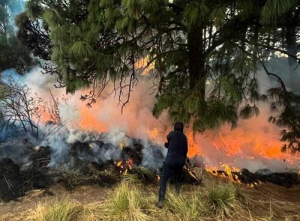 SSP combate 4 incendios en Puebla