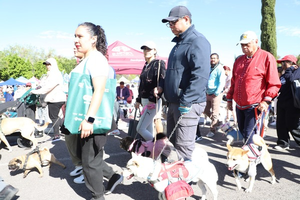 IBA impulsa tenencia con “Caninata”