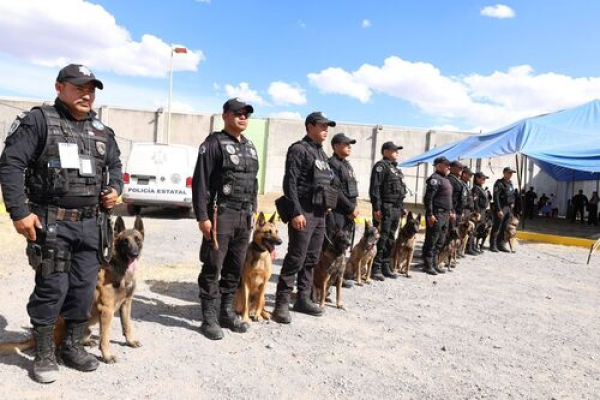Unidad K9 obtiene certificaci&oacute;n: SSP