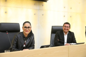 Buscan impulsar industrias creativas ind&iacute;genas