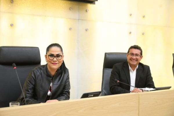 Buscan impulsar industrias creativas ind&iacute;genas