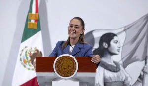 Vivienda para el Bienestar en construcción