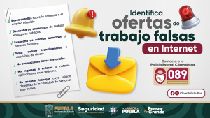 Cuidado, ofrecen ofertas laborales falsas en Internet