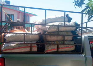 SSP y PROFEPA recupera 44 bultos de carbón en Tlacotepec