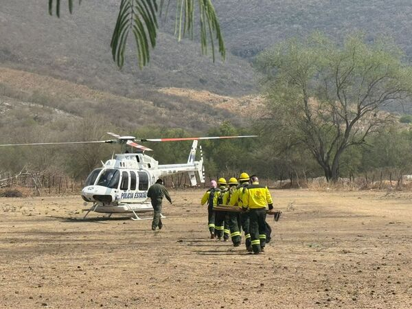 Brigadistas combaten incendio forestal en Tecaballo