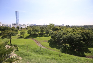Gobierno de Puebla comprometido con la reforestación