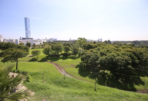 Gobierno de Puebla comprometido con la reforestación