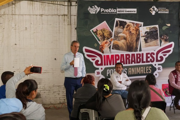 Xochimehuacan recibe servicios de Bienestar Animal