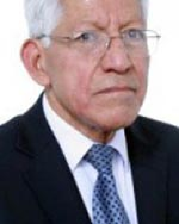 AL, la disputa geopol&iacute;tica