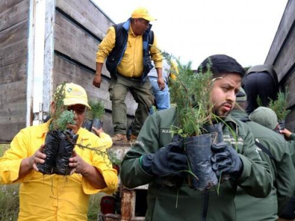 “En Puebla protegemos el medio ambiente”: Armenta