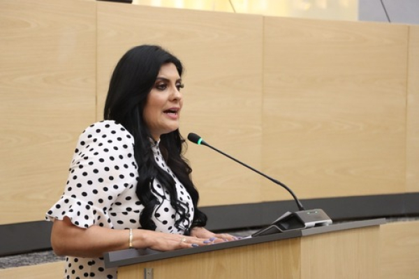 Piden auditor&iacute;a a videovigilancia en Puebla