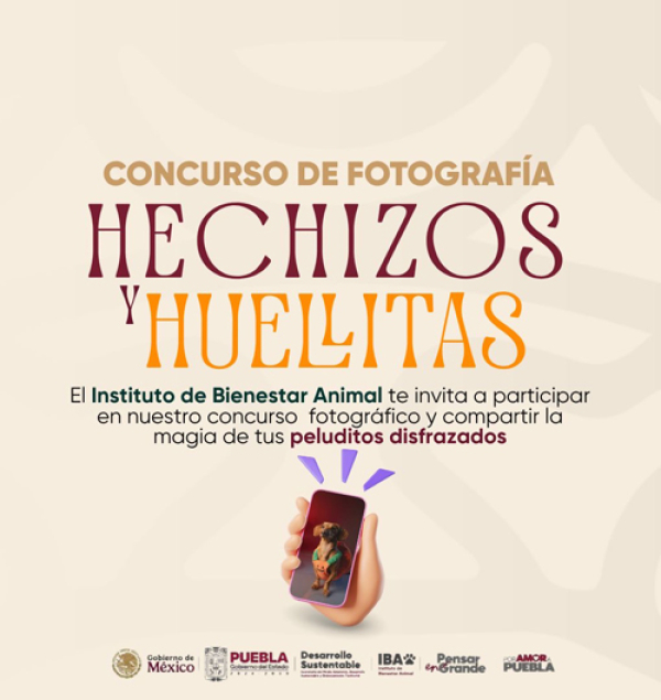 Concurso fotográfico “Hechizos y Huellitas”