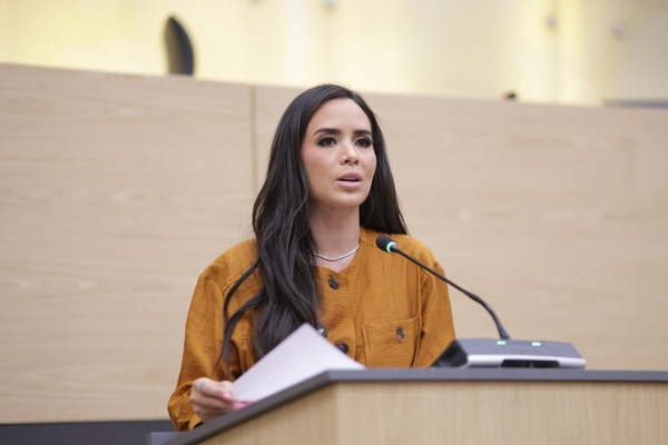 Se debe reconocer el trabajo doméstico: Palomares