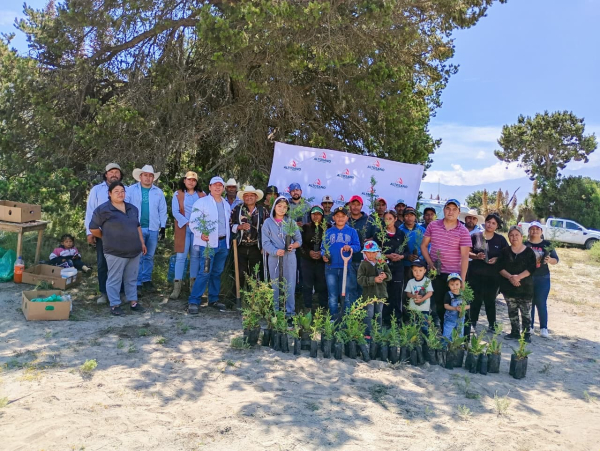 Altosano Granjas Carroll en pro de la reforestación