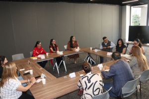 Propuestas j&oacute;venes en Ley de Participaci&oacute;n Ciudadana