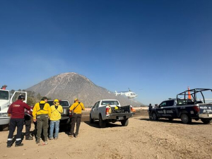 PC Estatal controla incendios al interior de Puebla