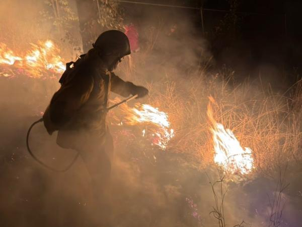 En Puebla ha sofocado 88 incendios forestales
