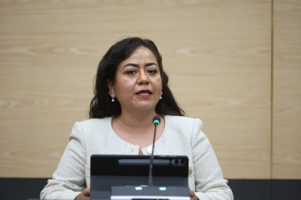 Buscan regulaci&oacute;n de seguridad p&uacute;blica y privada